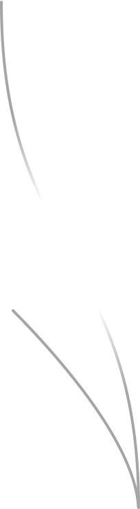 Connector Line